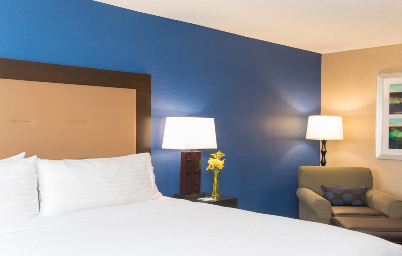 אלק גרוב וילאג' Holiday Inn Chicago - Elk Grove, An Ihg Hotel מראה חיצוני תמונה